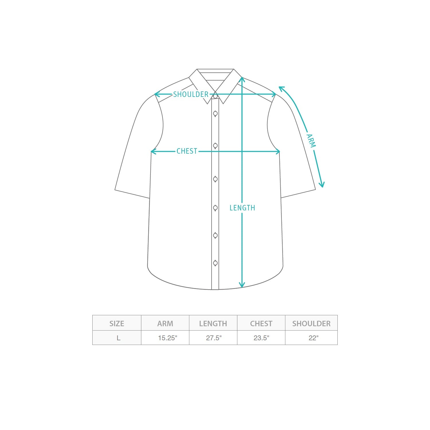 (SAM013) 恤衫樣品 Size Chart
