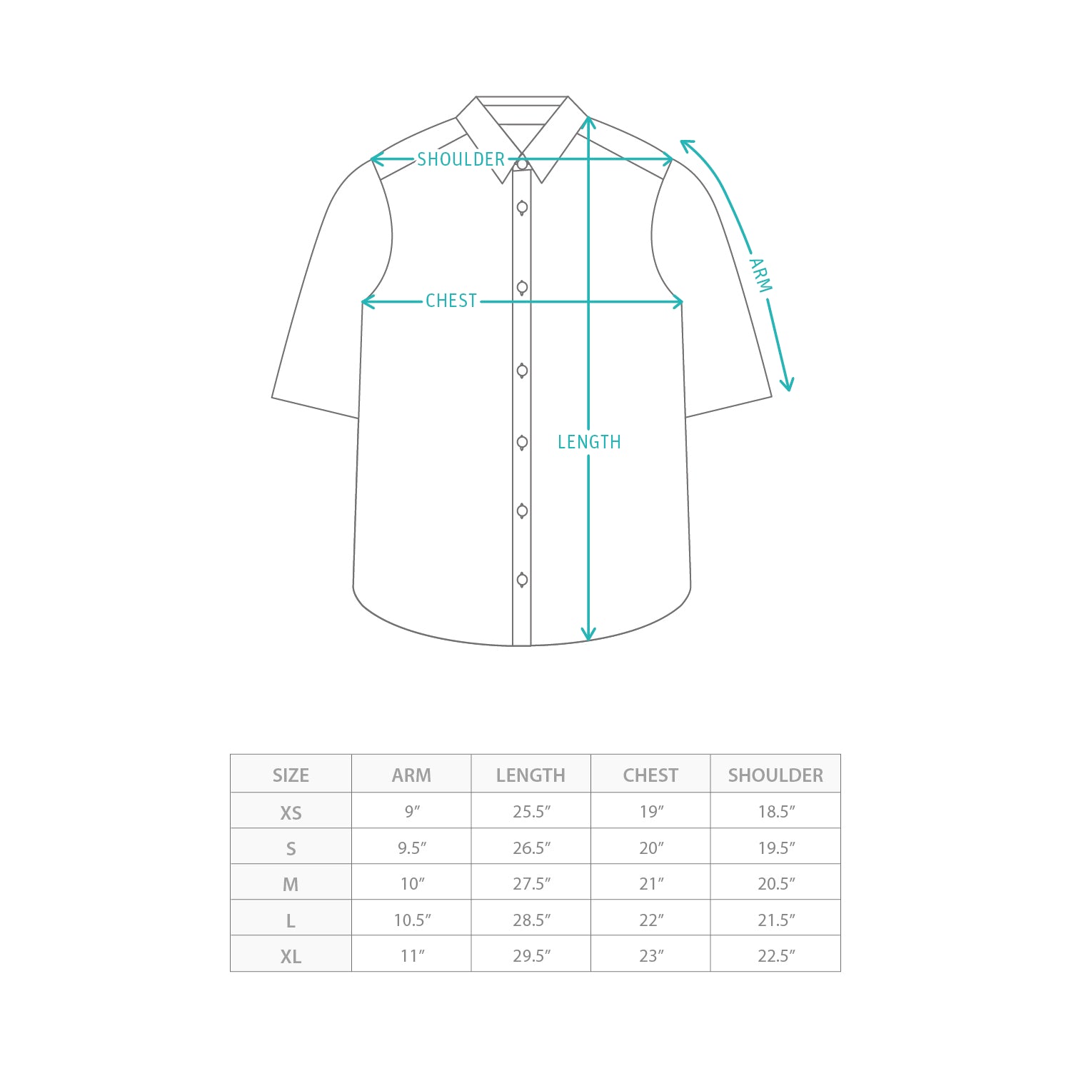 (ST461) P仔條子短袖恤衫 Size Chart