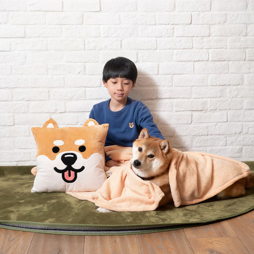 (AA386) Warm Cushion Blanket