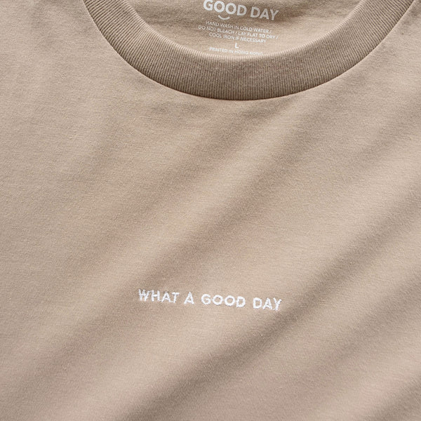 (ZT875) What A Good Day Embroidery Tee